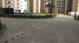 Golf Avenu(Sec 75)