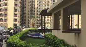Golf Avenu(Sec 75)