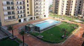 Golf Avenu(Sec 75)