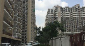 Golf Avenu(Sec 75)