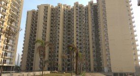 Golf Avenu(Sec 75)