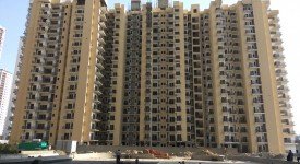 Golf Avenu(Sec 75)