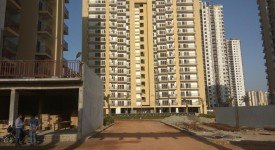 Golf Avenu(Sec 75)