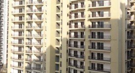 Golf Avenu(Sec 75)