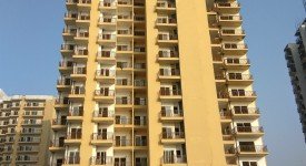 Golf Avenu(Sec 75)