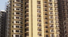 Golf Avenu(Sec 75)