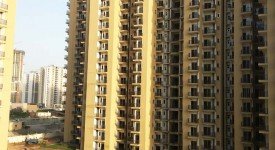 Golf Avenu(Sec 75)