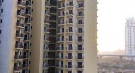Golf Avenu(Sec 75)