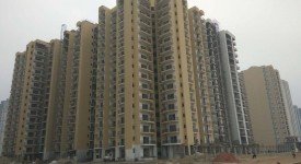 Golf Avenu(Sec 75)