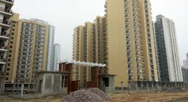 Golf Avenu(Sec 75)
