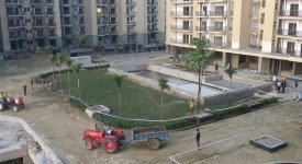 Golf Avenu(Sec 75)