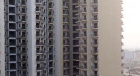 Golf Avenu(Sec 75)