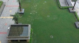 Golf Avenu(Sec 75)