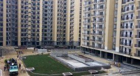 Golf Avenu(Sec 75)