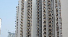 Golf Avenu(Sec 75)