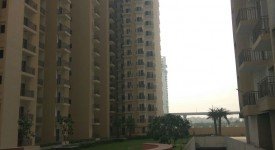 Golf Avenu(Sec 75)