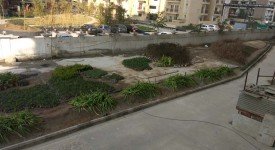 Golf Avenu(Sec 75)