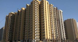 Golf Avenu(Sec 75)