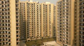 Golf Avenu(Sec 75)