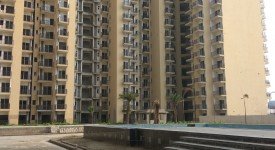 Golf Avenu(Sec 75)