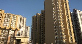 Golf Avenu(Sec 75)