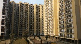 Golf Avenu(Sec 75)