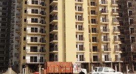 Golf Avenu(Sec 75)