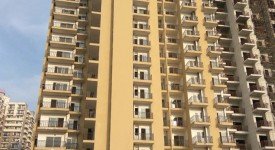 Golf Avenu(Sec 75)