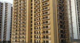 Golf Avenu(Sec 75)